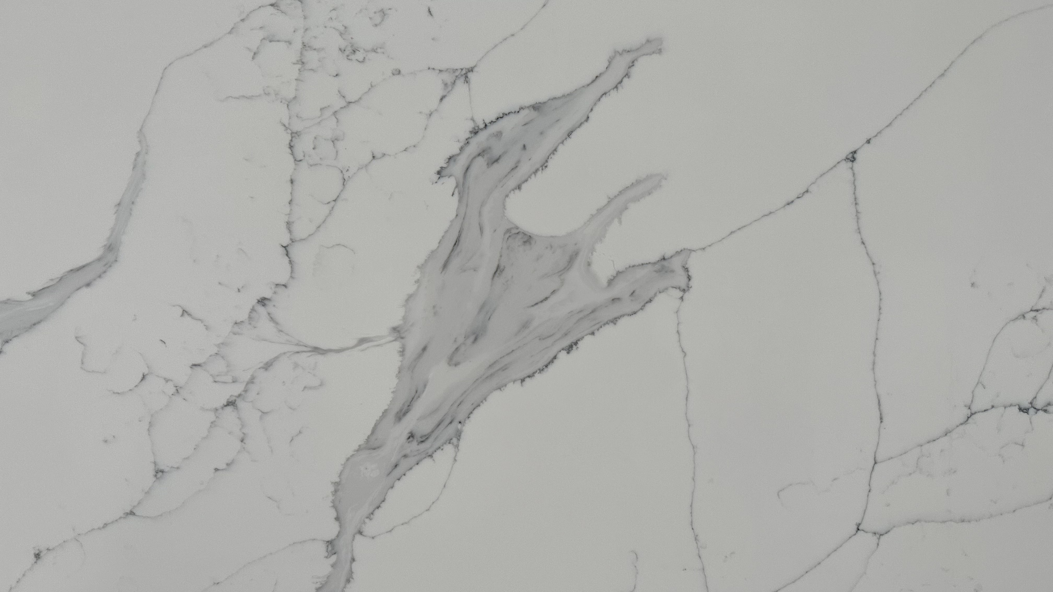 8956-1 (1)